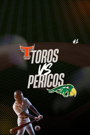 Toros Vs. Pericos...