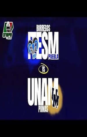 Pumas vs. Borrego...